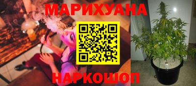 индика Бузулук