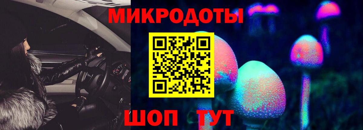 Павловский Посад  Псилоцибиновые грибы Cubensis  Вход с VPN 