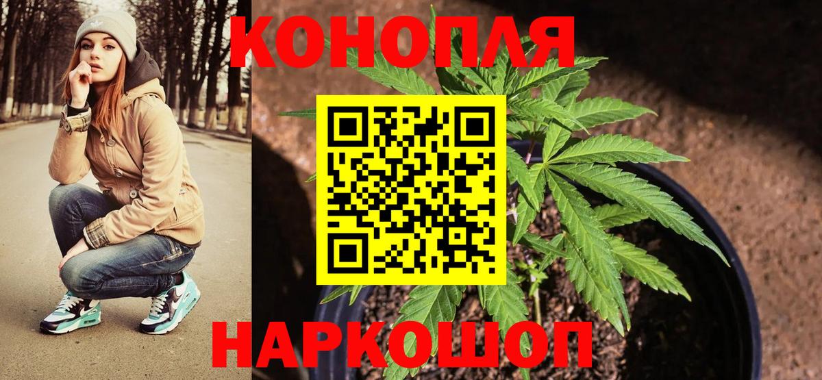 Каннабис Bruce Banner  Каннабис ГИДРОПОН  Павловский Посад  Вход с VPN  Бошки марихуана гибрид  Марихуана конопля 